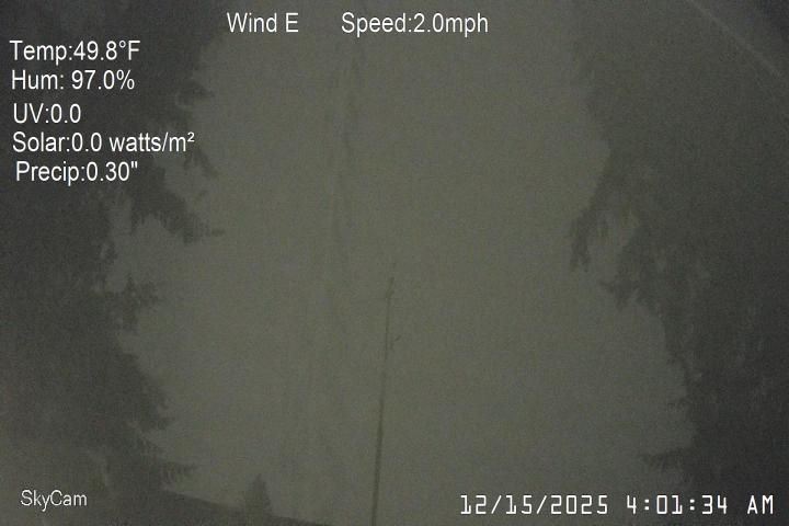 Brier › North-east: Washington, United States