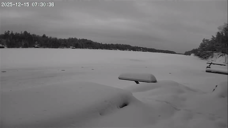 The Archipelago Township › North-west: Healey Lake - Ontario, Canada