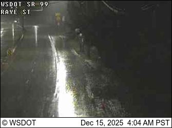 Seattle: SR 99 at MP 34.1: Raye St