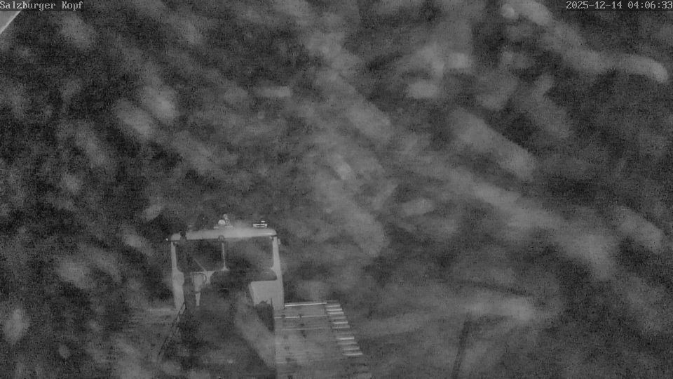 Stein-Neukirch › West: Salzburger Kopf - Rheinland-Pfalz, Germany