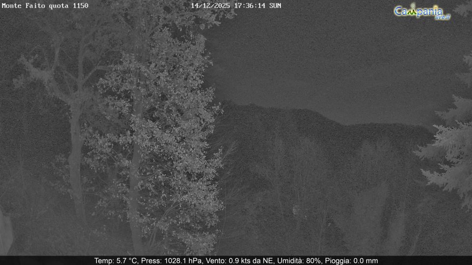 Vico Equense: Monte Faito - Campania, Italia: Faito