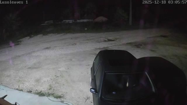 Rogil › West: Faro, Portugal