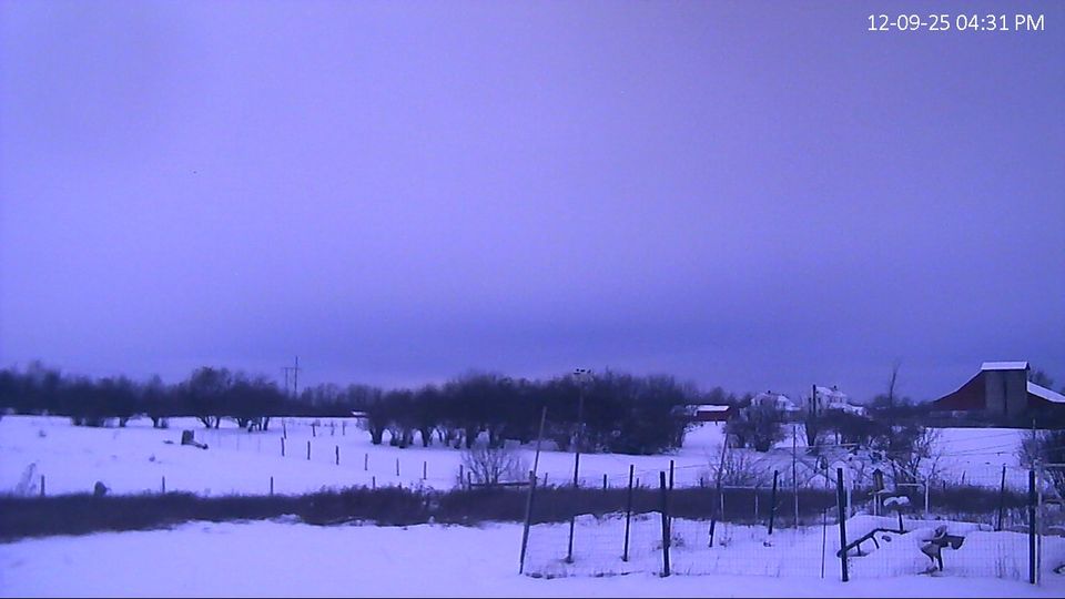 Noseville › North: Watertown - New York, United States: Farm, chickenhouse