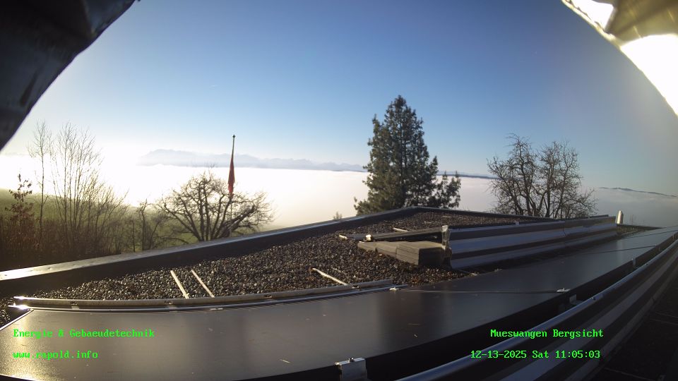 Muswangen › South: Jungfrau