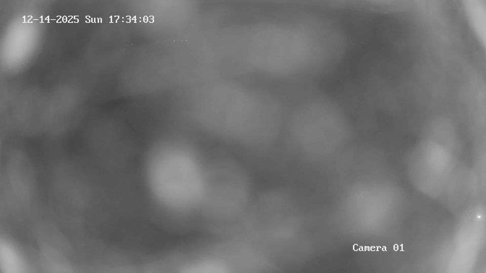 Prerov › North: AB - Olomoucký, Czechia