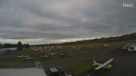 Edgewood: Mount Rainier