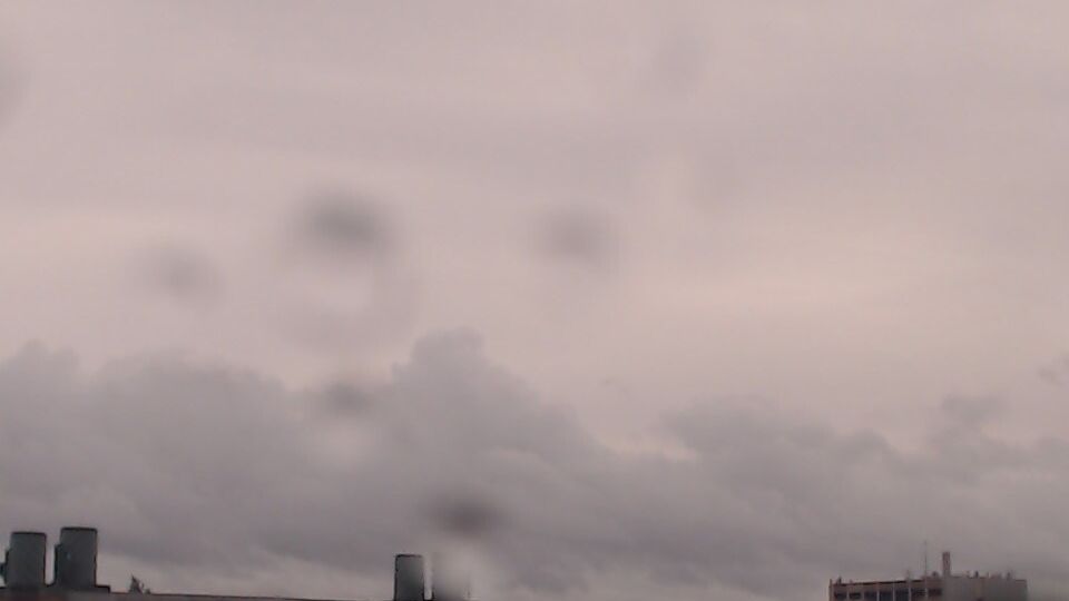 University Place: Mount Rainier National Park