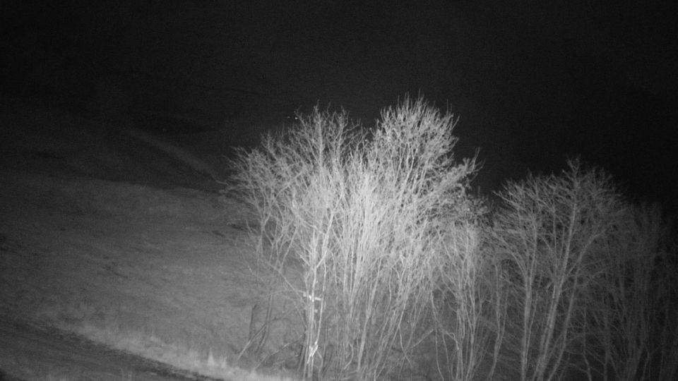 Stresa: Monte Mottarone - Piemonte, Italia: Campetti _ Milanesi