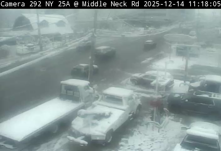 Flower Hill: NY25A at Middle Neck Road