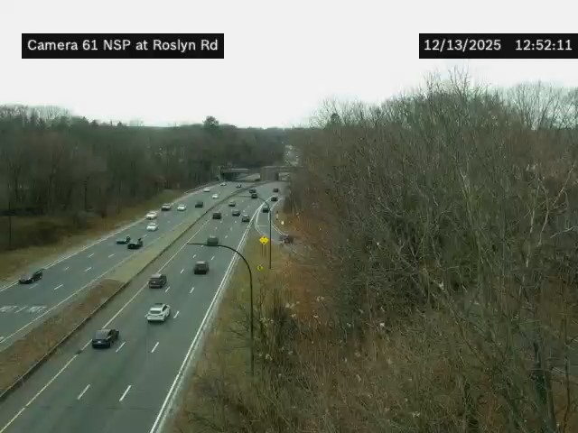 Munsey Park › West: NSP at Roslyn Rd