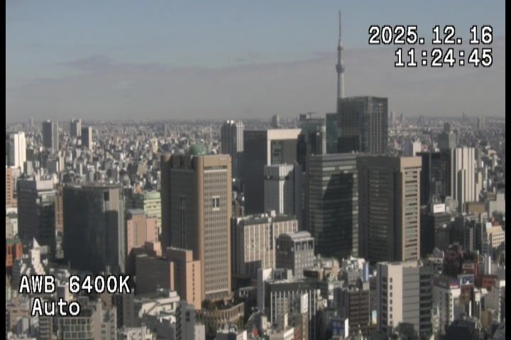 Chiyoda › North-east: 東京都千代田区役所(庁舎より北東)