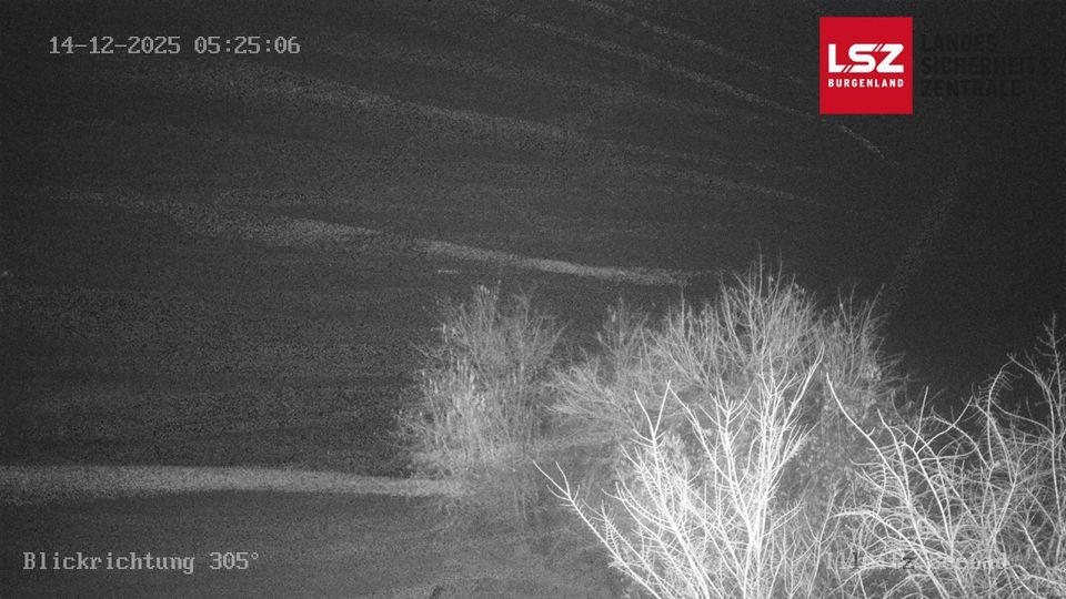 Illmitz › West: Lake Neusiedl