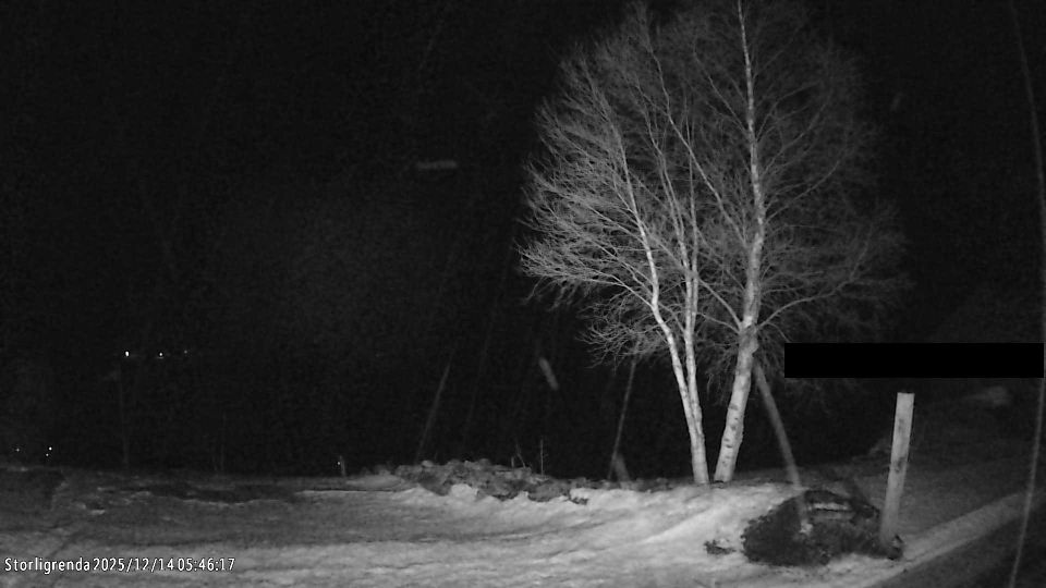 Storligrenda › West: Storsalen