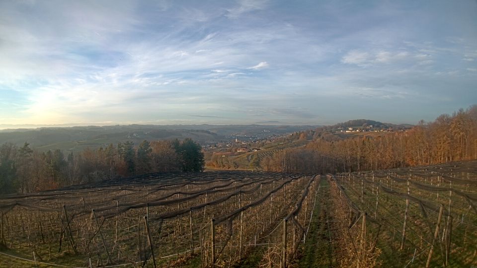 Gleichenberg Dorf: Obstbau Haas - Blick auf Gnas