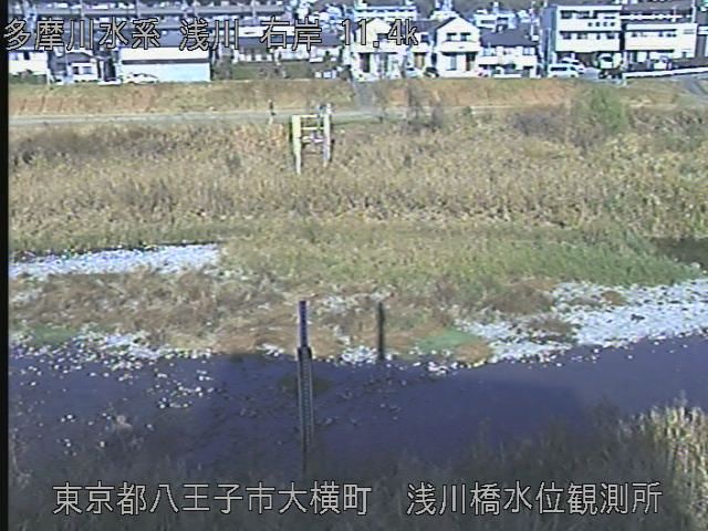 Hachioji: Tama River