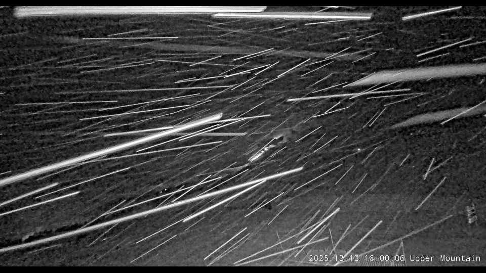 Jasper › South: Marmot Basin