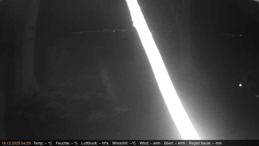 Uberlingen › South-west: Surfschule Bodensee