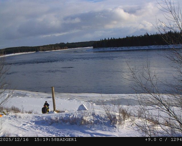 Badger › South-east: New Foundland - Labrador, Canadá