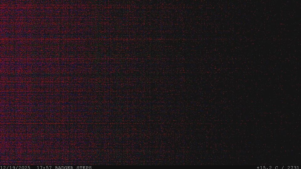 Badger › South-west: New Foundland - Labrador, Canadá