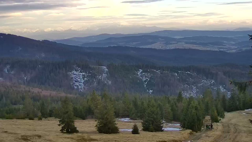 Zlatna › North-west: Romanka