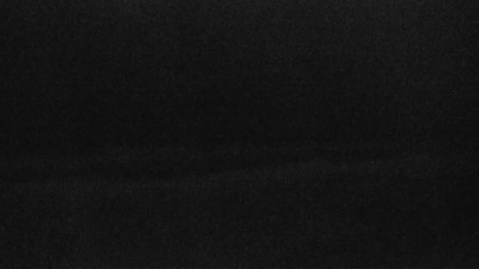 Sylt: Rantum: Livespotting - Live vom endlosen feinen Sandstrand in - auf SYLT