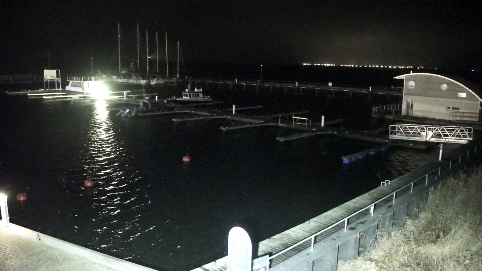 Wiek: Livespotting - Rügen