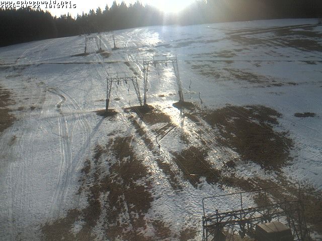 Schonwald im Schwarzwald