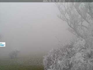 Randegg › North: Amstetten, Niederösterreich