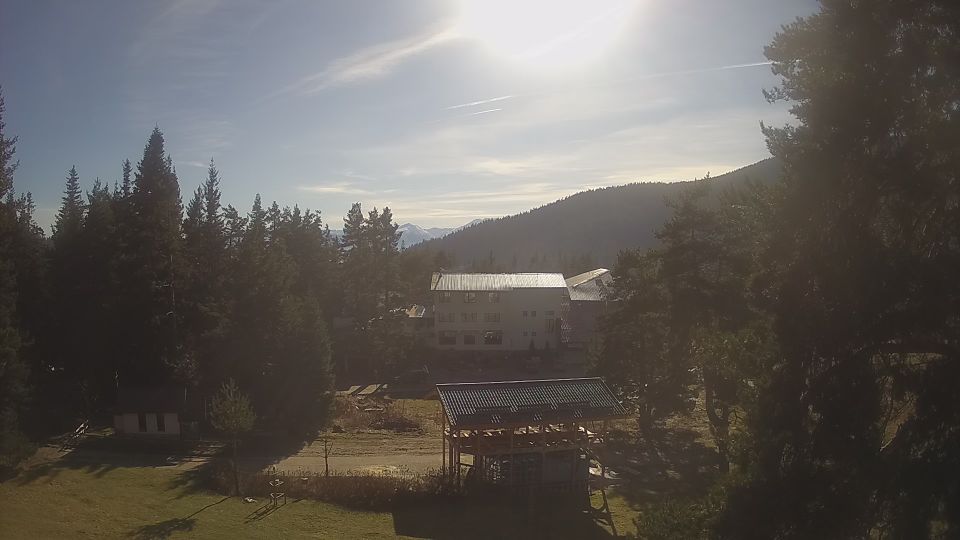 Вили Равните мочури