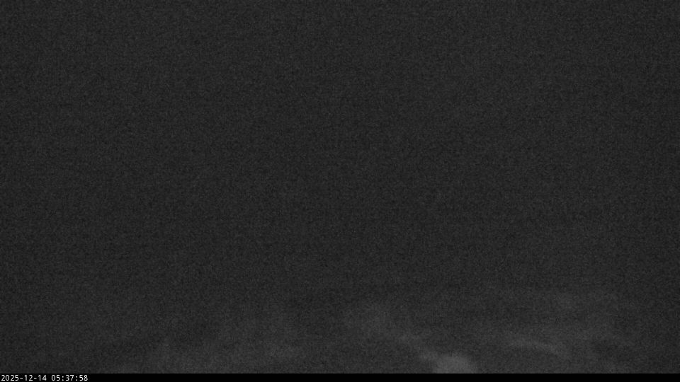 Arendal › North-east: Arendal lufthavn, Gullknapp