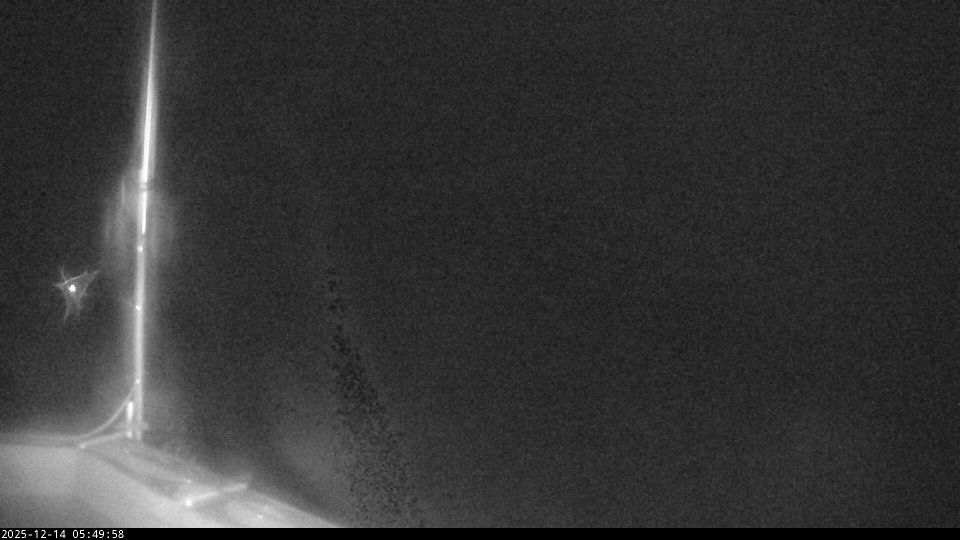 Arendal › South-west: Arendal lufthavn, Gullknapp