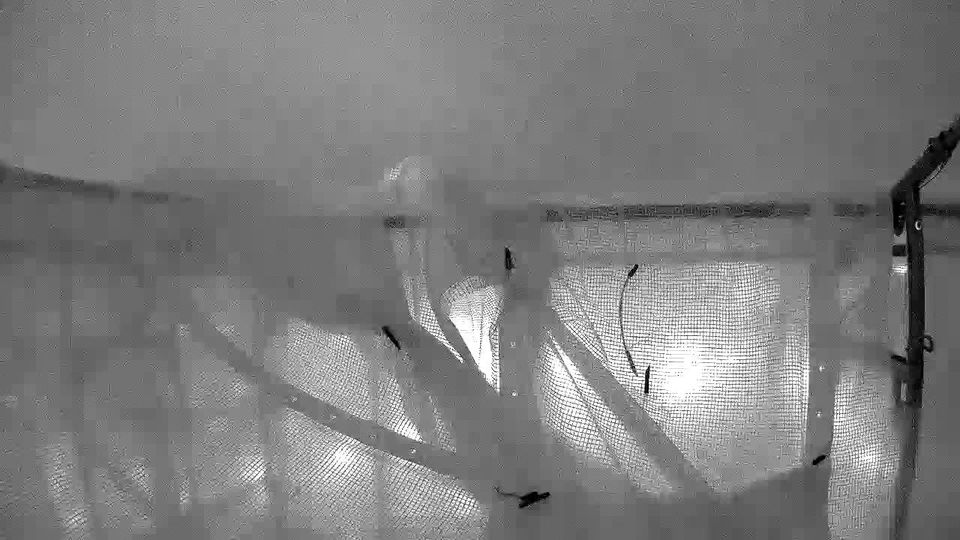 Klaipėda: Centras: Biržos tiltas