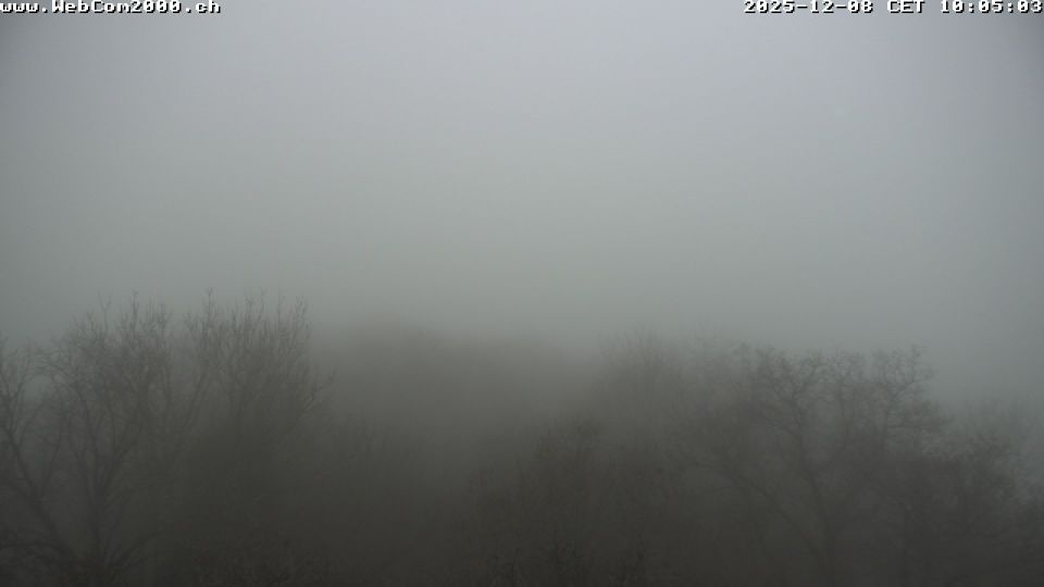 Siblingen › South-west