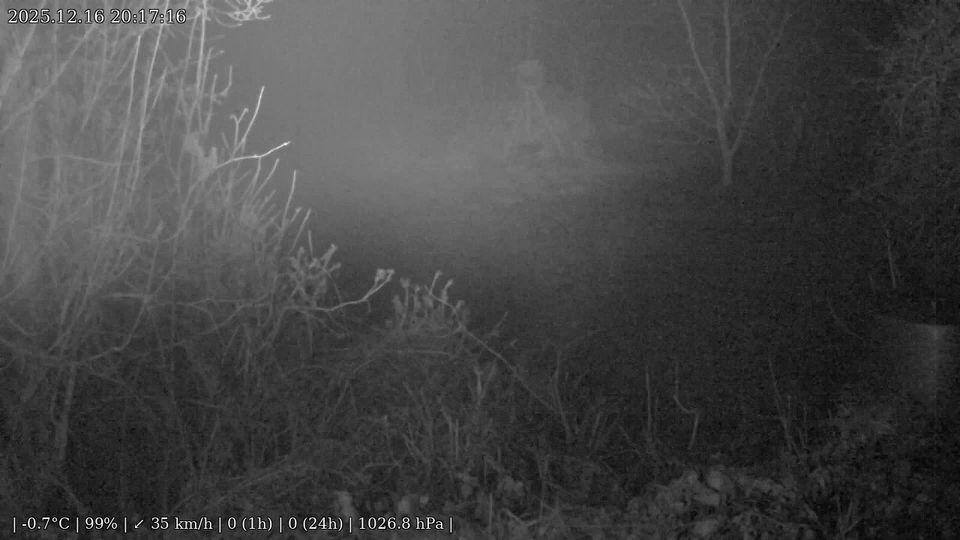 Isztimer › East: Hétház puszta