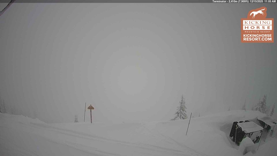 Golden: Terminator Peak