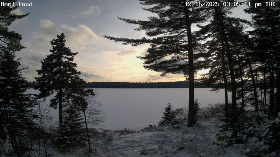 Franklin: Hoel Pond Road - Home Pond