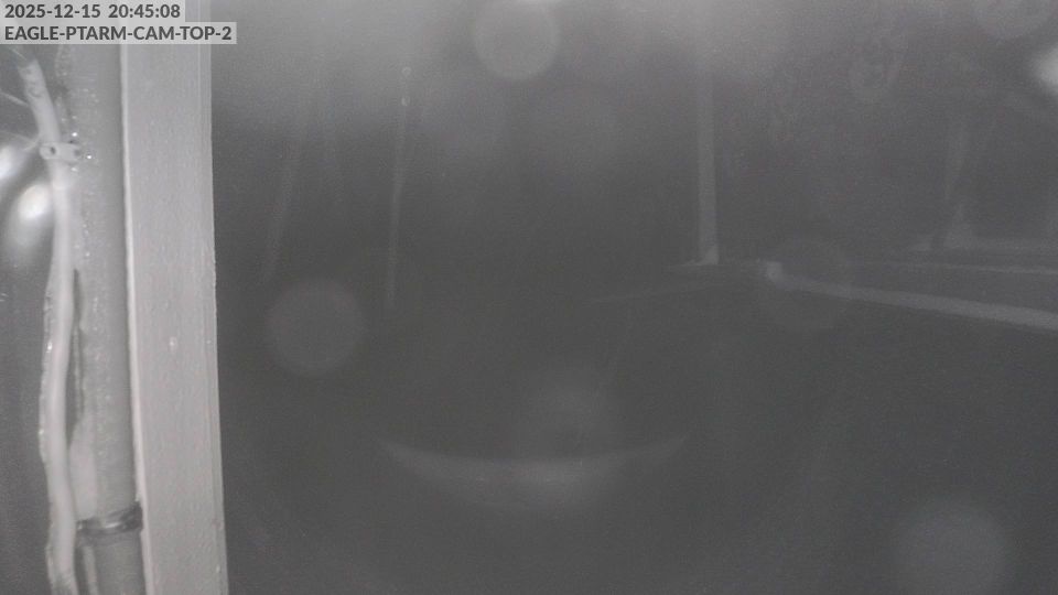 Douglas › North: Eaglecrest Ski Area