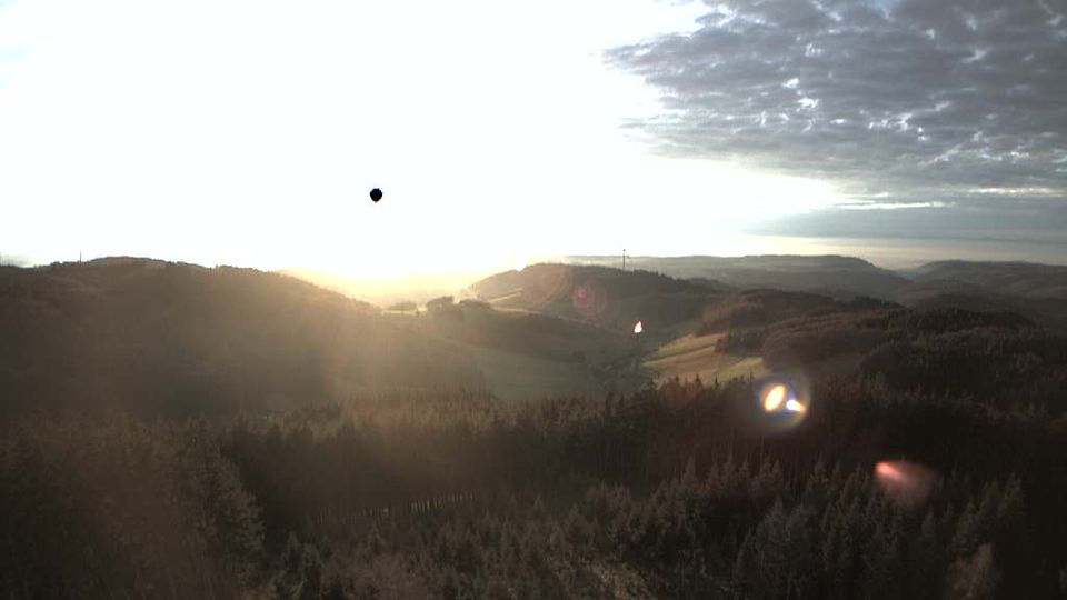 Freiamt › South-west