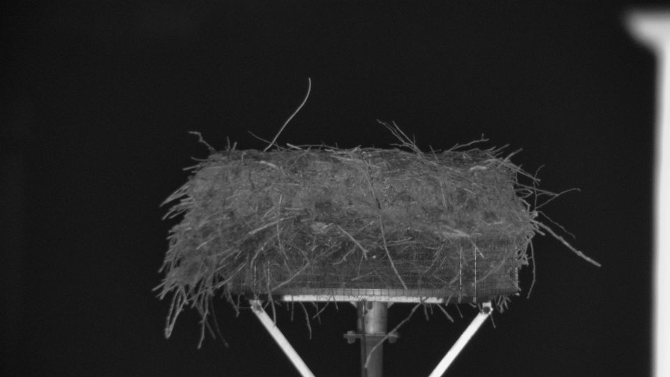 Neustadt an der Waldnaab