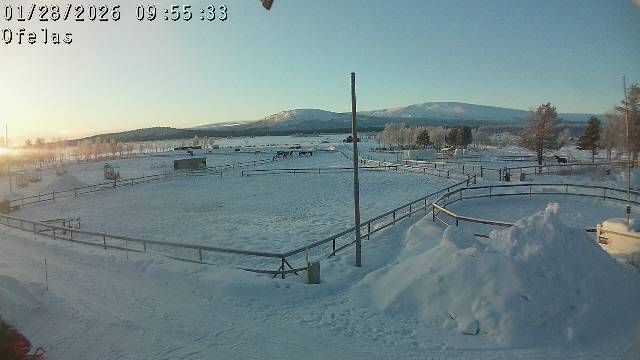 Kiruna › South: Ofelas Icelandic horses and guide service - Puoltsa