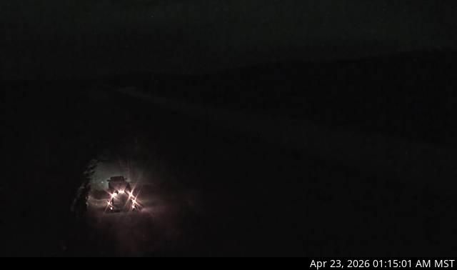 Peace River Regional District › North: Highway 97 near Trutch and the Mile 202 Rest Area, looking north