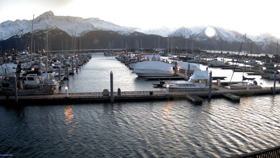 Seward › East: Seward Boat Harbor