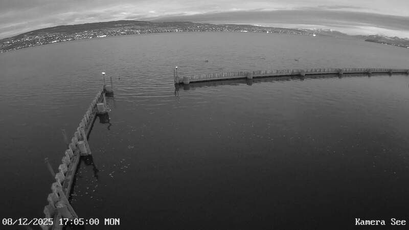 Horgen: Seerettungsdienst Horgen