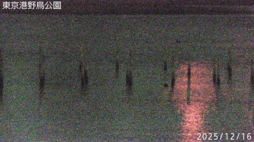 Ota: Tokyo Port Wild Bird Park
