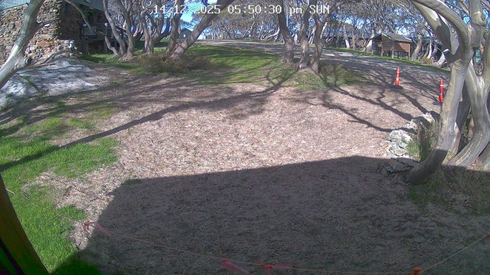 Harrietville: Mount Hotham