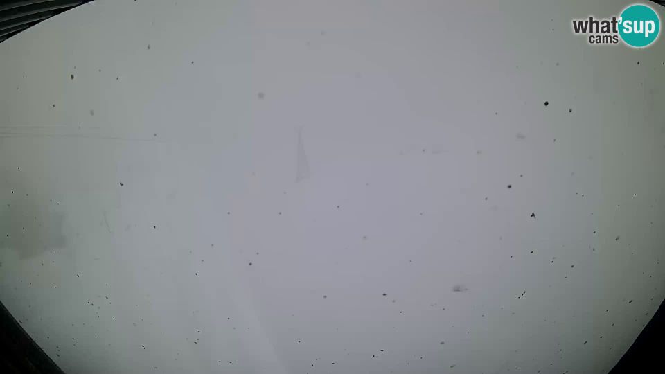 Bovec: Kanin - View to