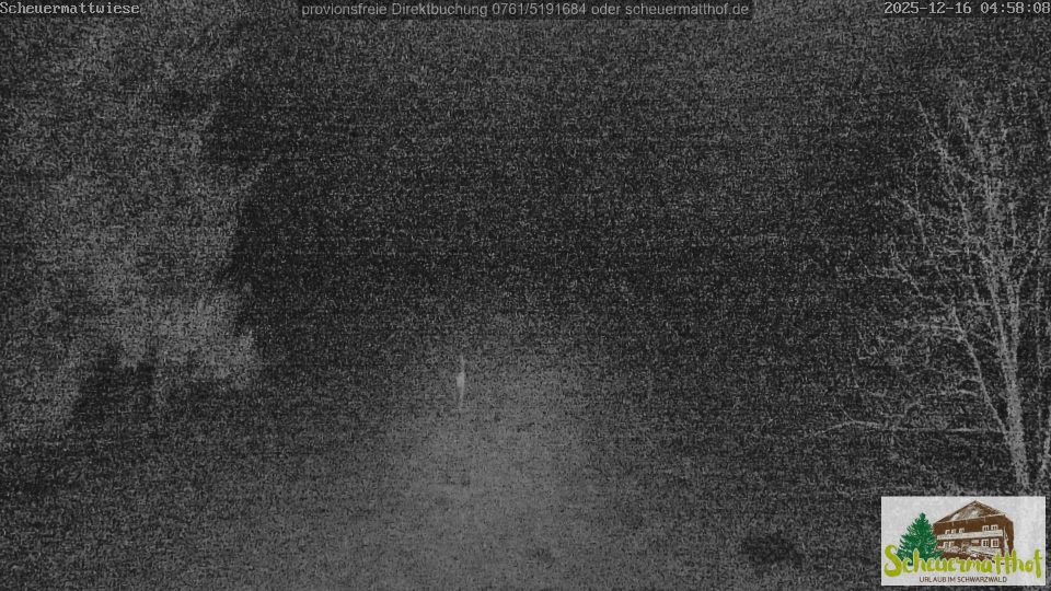 Todtnau › South-east: Ferienwohnung Schwarzwald im Scheuermatthof/Todtnauberg