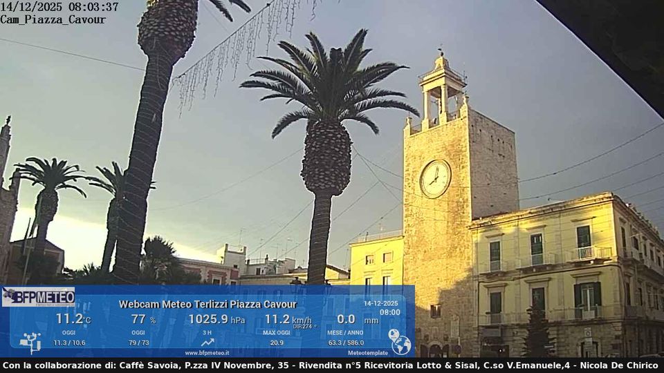 Terlizzi › North: Via Sarcone