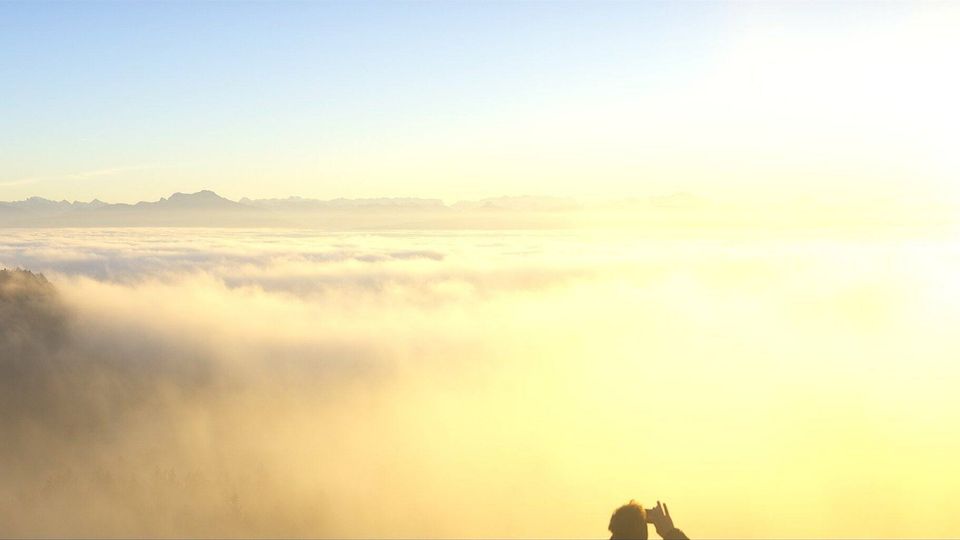 Frankenburg am Hausruck: Frankenburg - Aussichtsturm Göblberg