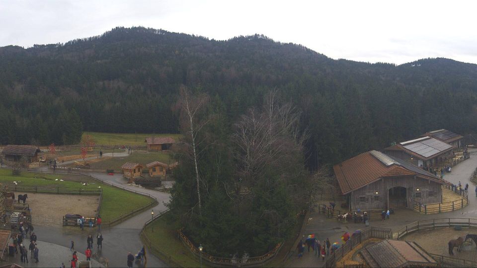 Henndorf am Wallersee: Henndorf - Gut Aiderbichl